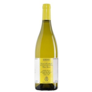 Stefano Antonucci Verdicchio Dei Castelli Di Jesi DOC Classico Superiore 2022
