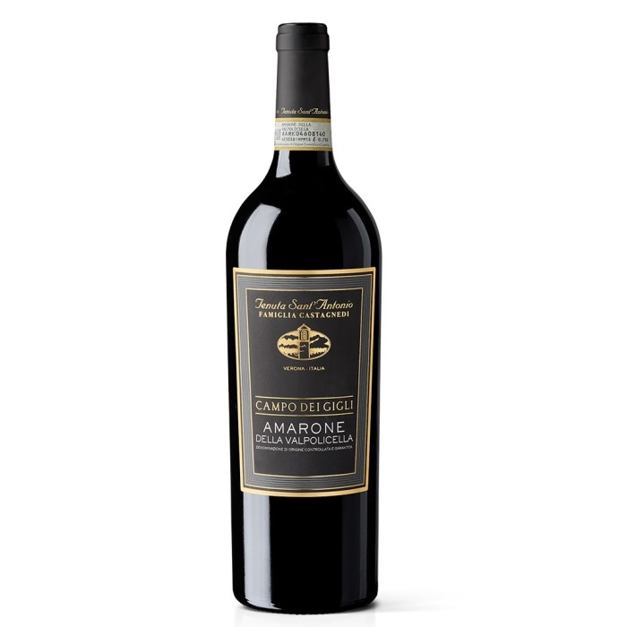 Tenuta Sant'Antonio Campo dei Gigli Amarone Della Valpolicella DOCG 2018