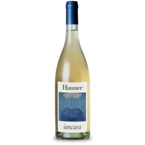 Hauner Iancura 2024