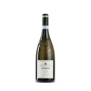 Monte Cicogna Lugana Santa Caterina 2022