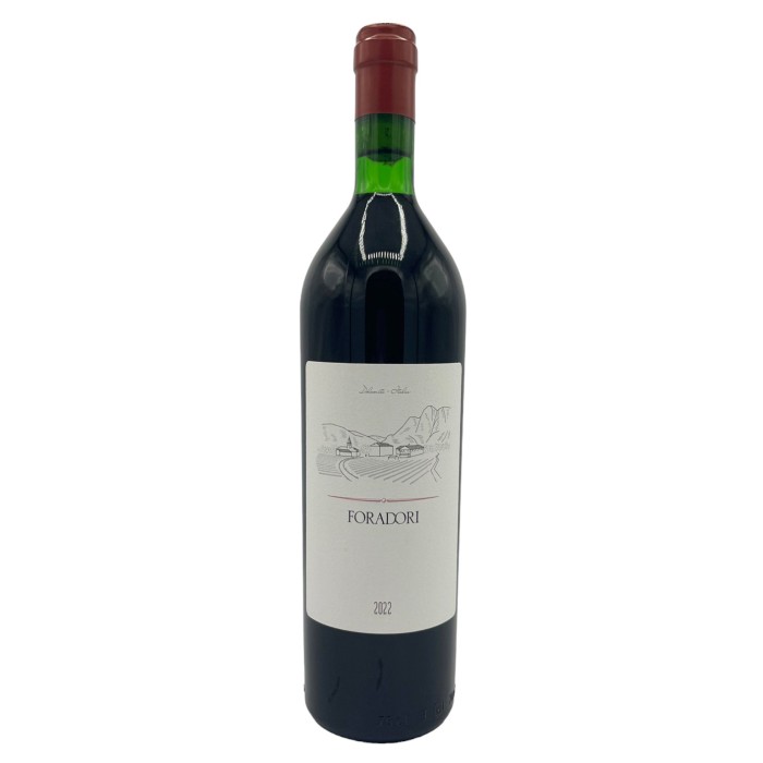 Foradori Teroldego Vigneti delle Dolomiti IGP 2024