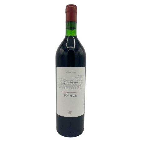 Foradori Teroldego Vigneti delle Dolomiti IGP 2024
