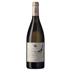 Tenuta dell'Ornellaia Poggio alle Gazze 2024