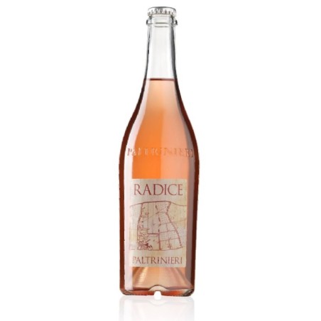 Paltrinieri Radice Lambrusco di Sorbara DOC 2024