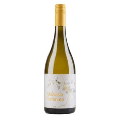 Lotti Malvasia Puntinata Lazio IGP 2024