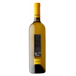 Tabarrini Adarmando Umbria Bianco IGP 2023