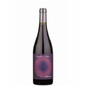 Andrea Pilar Malvasia Nera Umbria IGT 2022