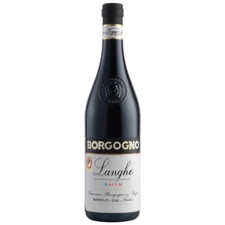 Borgogno "Ancum" Langhe DOC Dolcetto 2024