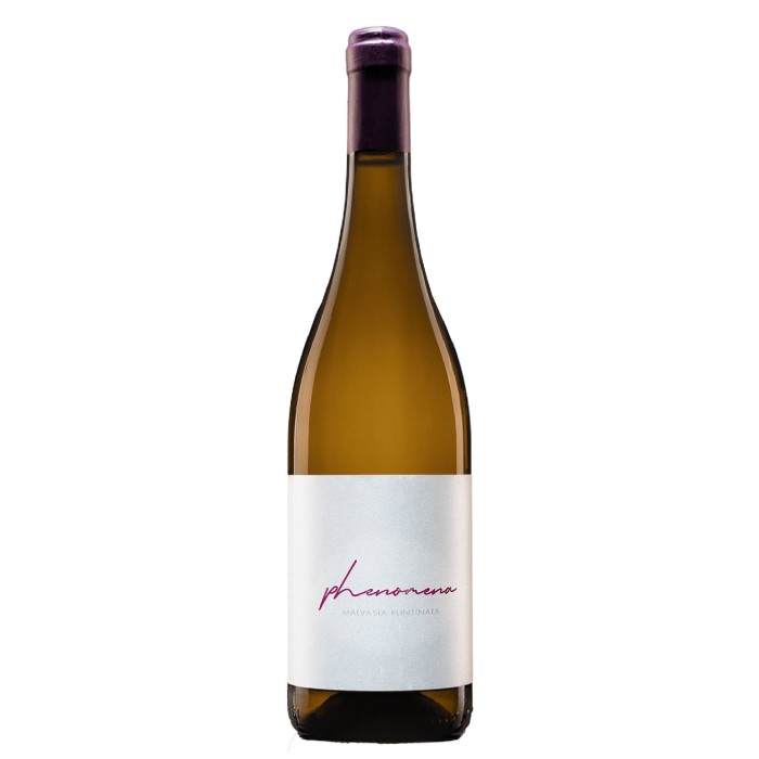 Medevi' "Phenomena" Malvasia Puntinata Lazio IGP 2023