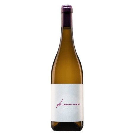 Medevi' "Phenomena" Malvasia Puntinata Lazio IGP 2023