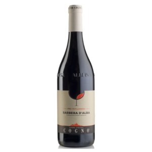 Elvio Cogno Barbera d'Alba DOC "Pre-Phylloxera"