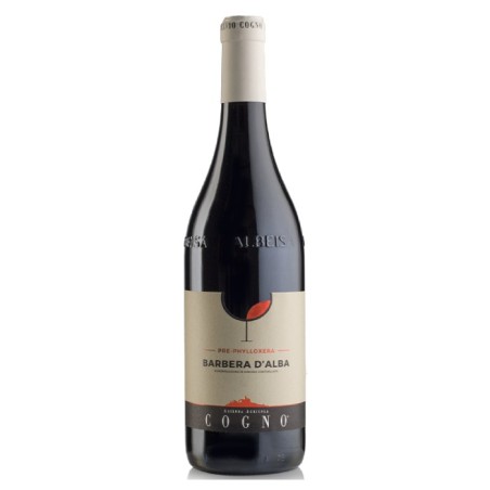 Elvio Cogno Barbera d'Alba DOC "Pre-Phylloxera"