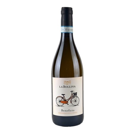 La Bollina Beneficio Vino Bianco 2024