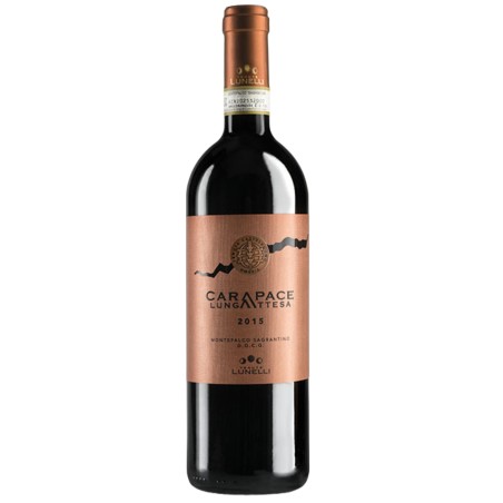 Lunelli Carapace lunga attesa Montefalco Sagrantino DOCG 2018 (Cofanetto in legno)