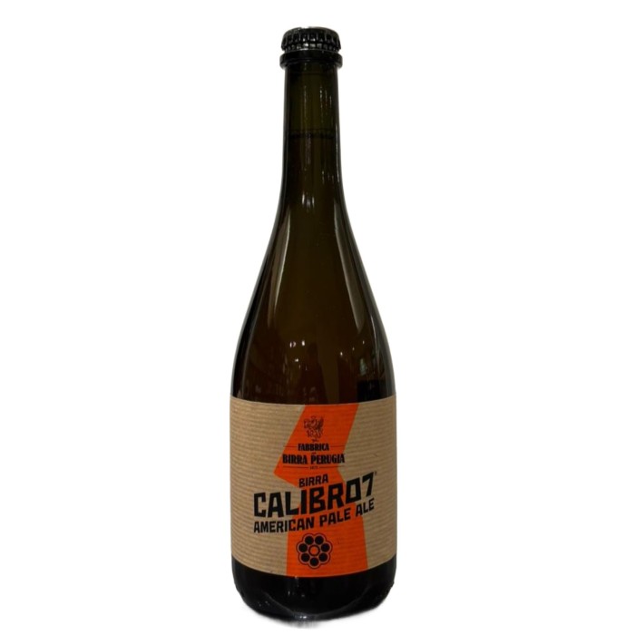 Birra Perugia Calibro 7 75CL