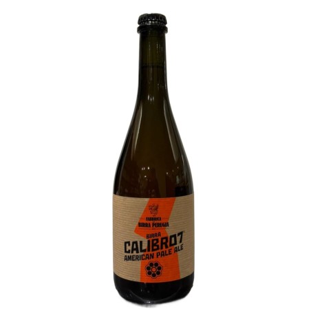 Birra Perugia Calibro 7 75CL