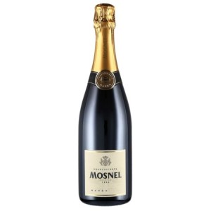 Mosnel Saten 2021 Franciacorta DOCG