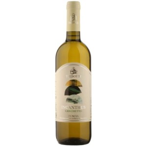 Trebotti INCANTHUS  Grechetto Tuscia DOP 2024