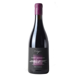 Stefanoni Sant'Antonio Violone 2021