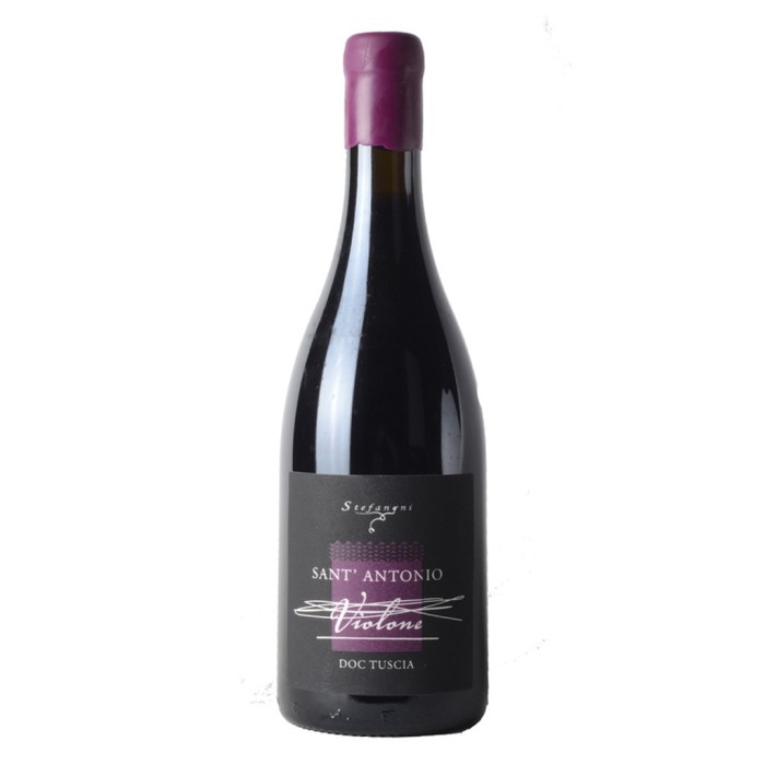 Stefanoni Sant'Antonio Violone 2021