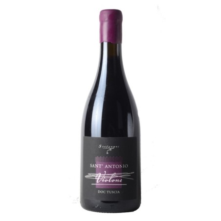 Stefanoni Sant'Antonio Violone 2021
