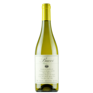 Villa Bucci "Bucci" Verdicchio dei Castelli di Jesi Classico Superiore 2022