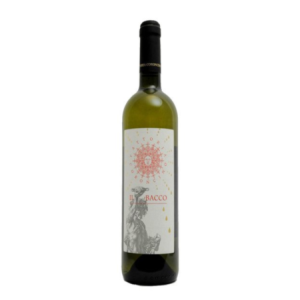 Fattoria Coroncino "Il Bacco"  Verdicchio dei Castelli di Jesi Classico Superiore DOC 2024