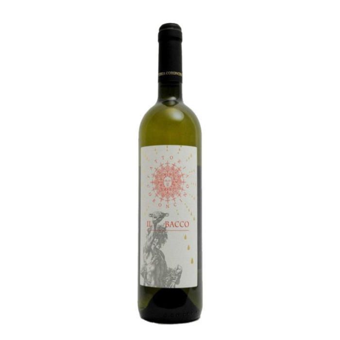 Fattoria Coroncino "Il Bacco"  Verdicchio dei Castelli di Jesi Classico Superiore DOC 2024