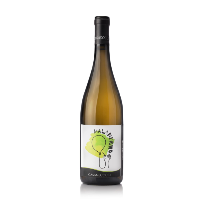 Casa Mecocci Winery Il Malandrino 2021