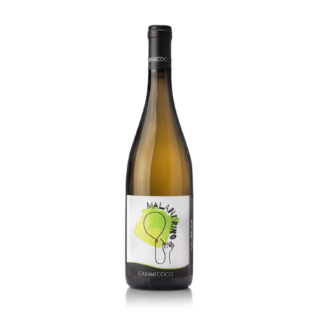 Casa Mecocci Winery Il Malandrino 2021